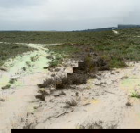 Ngarkat Conservation Park - Tourism Canberra
