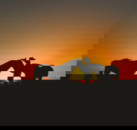 Outback Pony Rides Farm Experience - Tourism Canberra