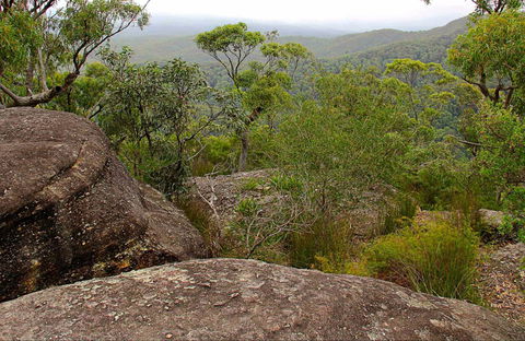 Pigeon House Mountain Didthul Walking Track - Tourism Canberra 0