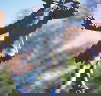 Queens Gardens - Tourism Canberra