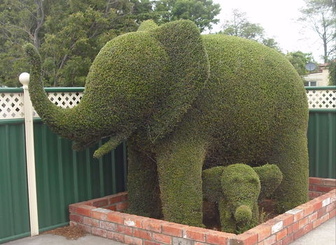 Railton: Town Of Topiary - Tourism Canberra 0