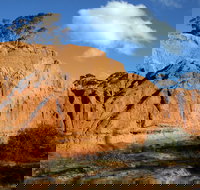 Red Banks Conservation Park - Tourism Canberra