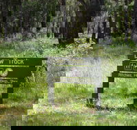 Ritchie's Hut - Tourism Canberra