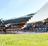 Rosehill Gardens Racecourse - Tourism Canberra