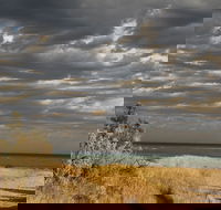 Rosebud Beach - Tourism Canberra