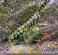Sawpit Walking Track - Tourism Canberra