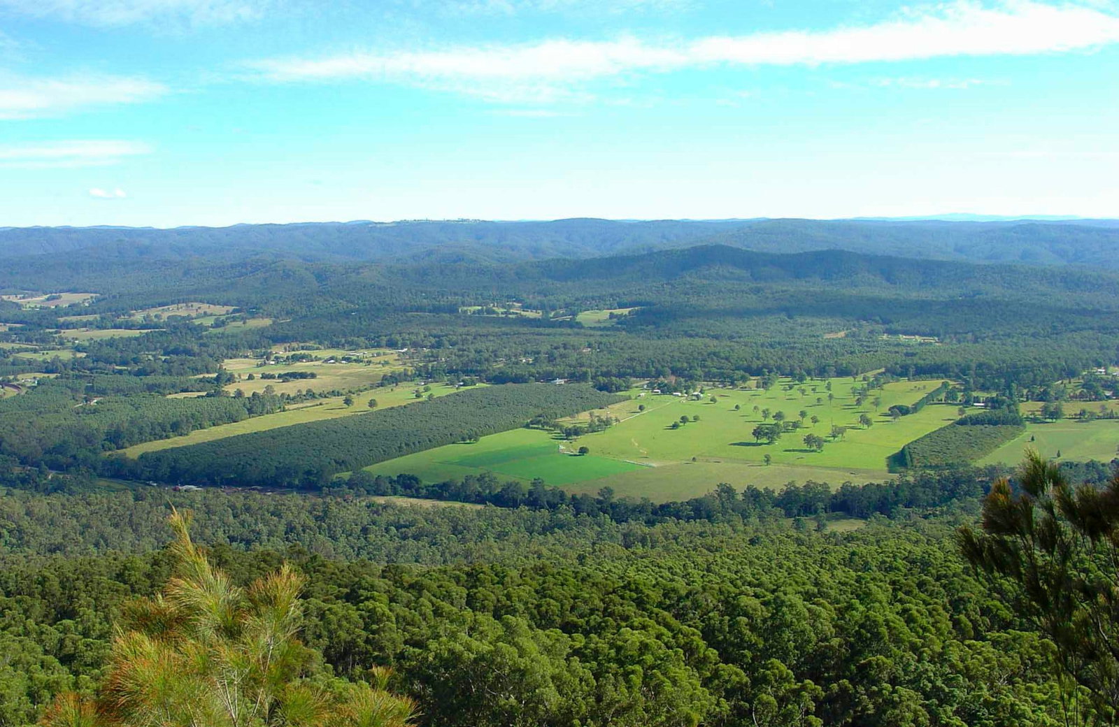 Bucca NSW Tourism Canberra