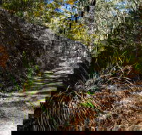 Starlights Trail - Tourism Canberra