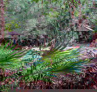 Sugar Creek Picnic Area - Tourism Canberra