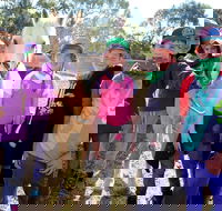 The Saddle Camp - Tourism Canberra