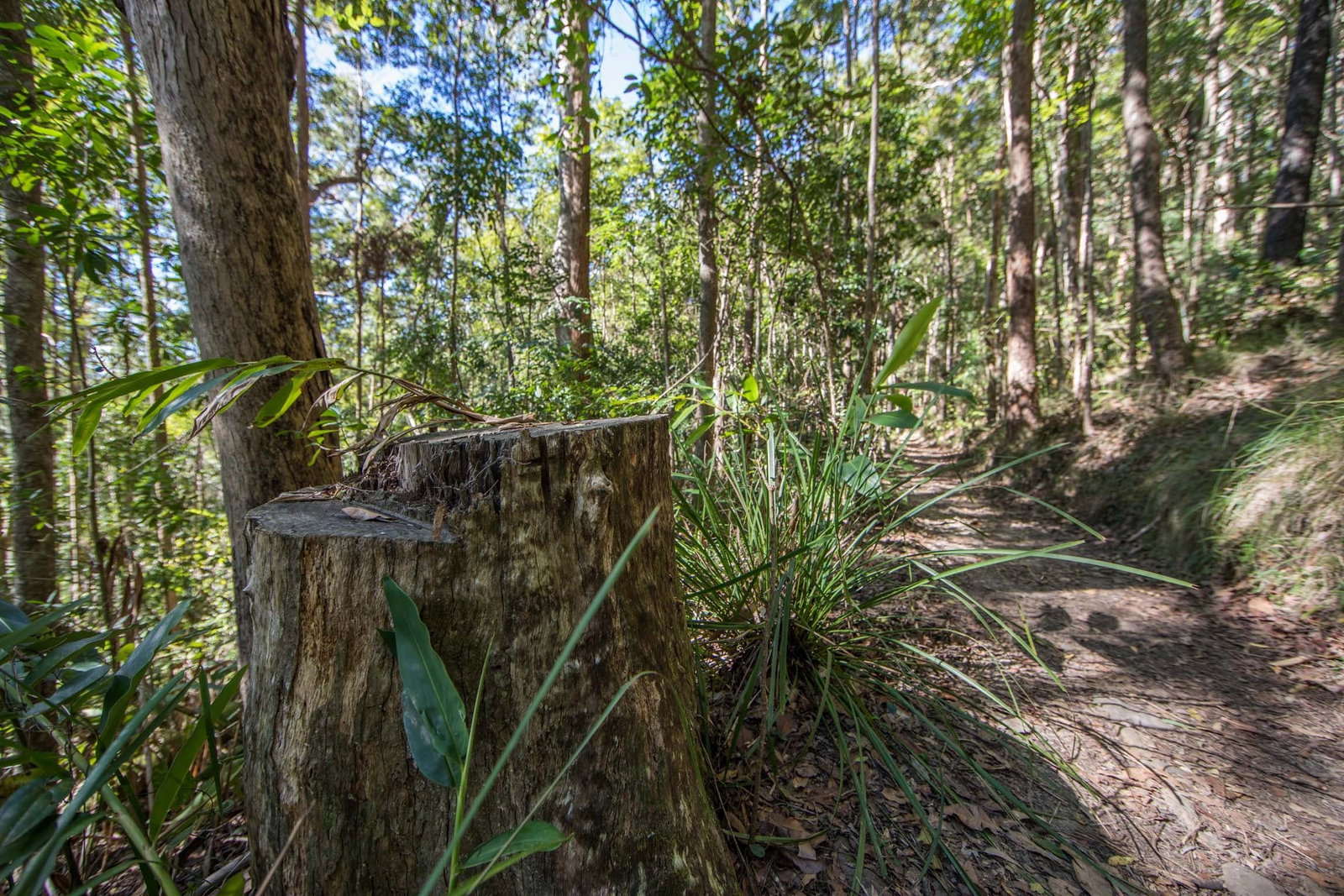 Mount Nebo QLD Tourism Canberra