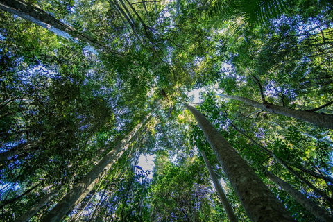 Thylogale Track - Tourism Canberra 1