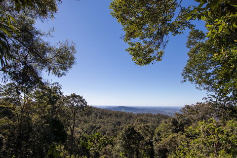 Thylogale Track - Tourism Canberra 2