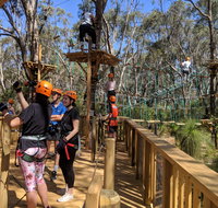 Trees Adventure - Yanchep Park - Tourism Canberra