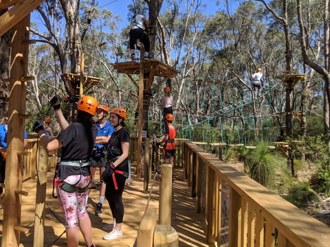 Trees Adventure - Yanchep Park - Tourism Canberra 0