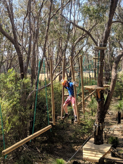 Trees Adventure - Yanchep Park - Tourism Canberra 1