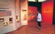 Warradjan Cultural Centre - thumb 1