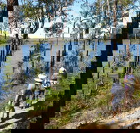 Wellington Discovery Forest - Tourism Canberra