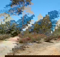 Werakata National Park - Tourism Canberra