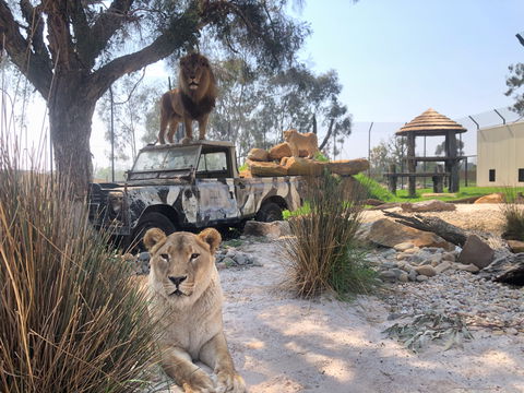 Zambi Wildlife Retreat - Tourism Canberra 0