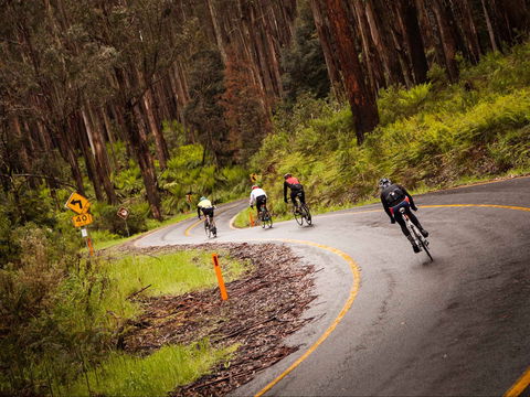 7 Peaks Ride - Lake Mountain - Tourism Canberra 1
