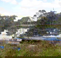 Baldwin Swamp Environmental Park - Tourism Canberra