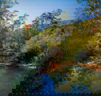 Bargo State Conservation Area - Tourism Canberra