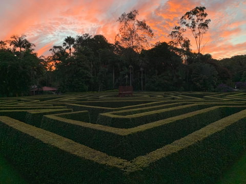 Bellingham Maze - Tourism Canberra 0