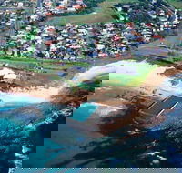 Bulli - Tourism Canberra