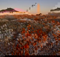Cape Willoughby Heritage Trail - Tourism Canberra