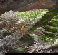 Cave Creek Walking Track - Tourism Canberra
