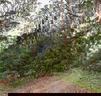 End Peak walking track - Tourism Canberra