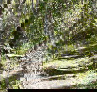Euglah Rock Walking Track - Tourism Canberra