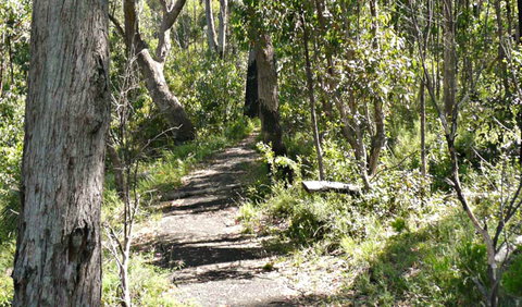 Euglah Rock Walking Track - Tourism Canberra 0
