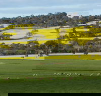 Fini Olives - Tourism Canberra