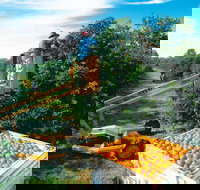 Gayndah's Big Orange - Tourism Canberra