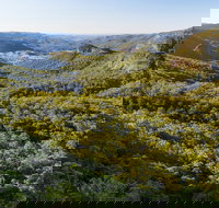 Gold Coast Hinterland Great Walk - Tourism Canberra