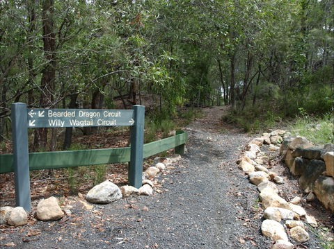 Haig Street Quarry Bushland Reserve Trails - Tourism Canberra 1