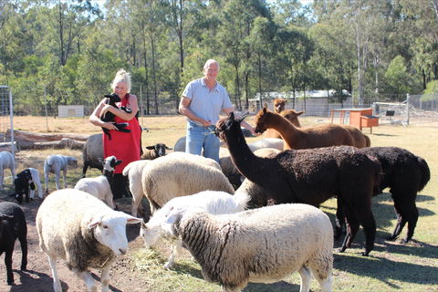 Haigslea EWE Nique Hobby Farm - Tourism Canberra 0