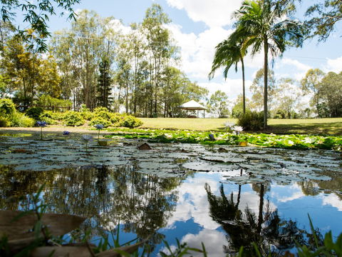 Kholo Gardens - Tourism Canberra 1