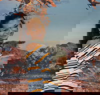 Kuranda Koala Gardens - Tourism Canberra