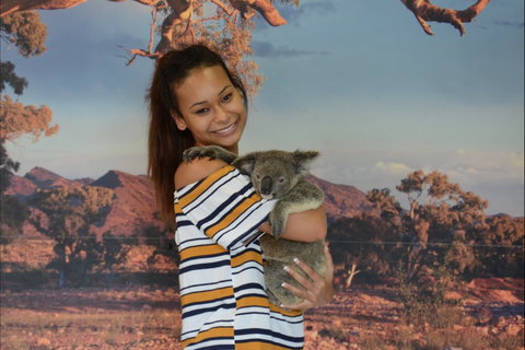 Kuranda Koala Gardens - Tourism Canberra 0