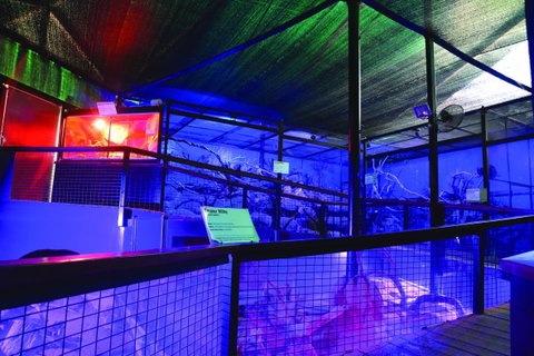 Kuranda Koala Gardens - Tourism Canberra 2