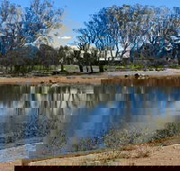 Lake King Wetlands at Rutherglen - Tourism Canberra