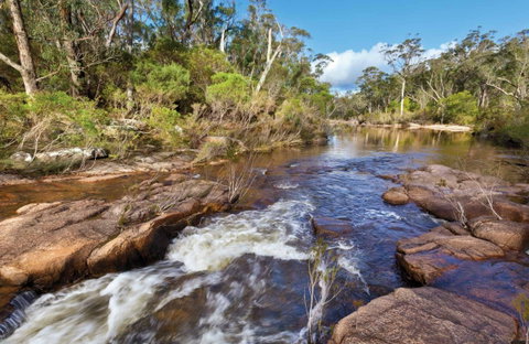 Little Dandahra Creek Walking Track - Tourism Canberra 0