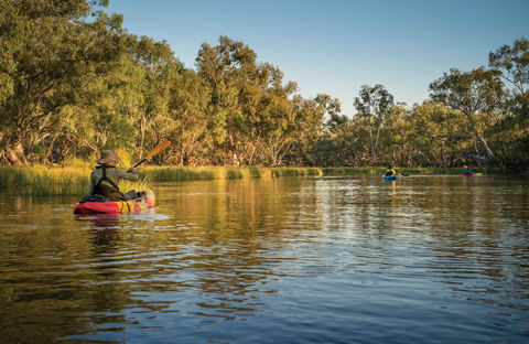 Macquarie Marshes Nature Reserve - Tourism Canberra 0