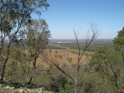 Mount Tilga - Tourism Canberra 0