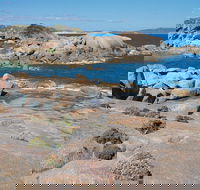 Nanarup Beach - Tourism Canberra