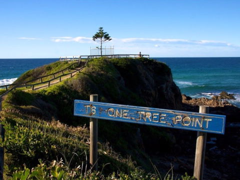 One Tree Point Lookout And Picnic Area - Tourism Canberra 0