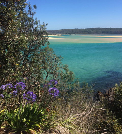 One Tree Point Lookout And Picnic Area - Tourism Canberra 2